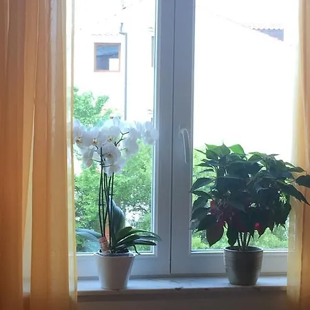 Apartment Apartman Snjezana